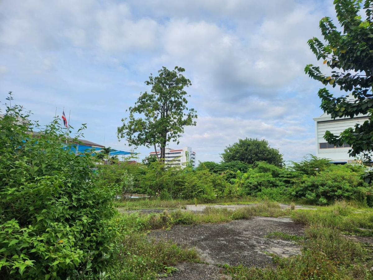 For SaleLandPattanakan, Srinakarin : For sale: vacant land, Phatthanakan Road 44