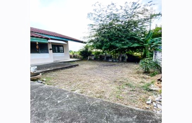 For RentHousePhutthamonthon, Salaya : Mahidol University Salaya 2.7 km.Good location Central Salaya 2.9 km. single-storey house 3 bed