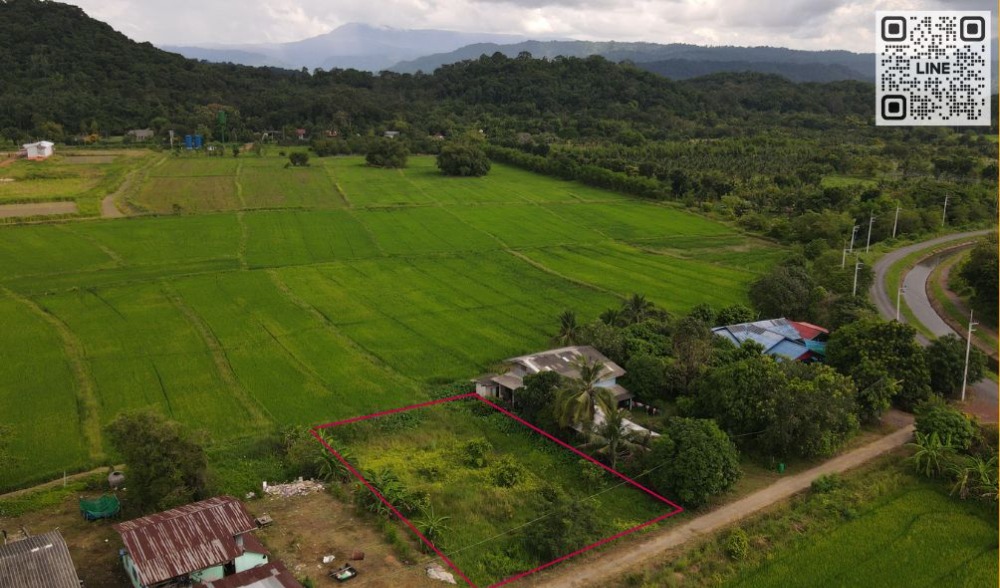 ขายที่ดินนครนายก : ขายที่ดิน 229 ตร.ว. มีโฉนด ด้านหลังวิวเขากระเหรียง ด้านหน้าติดถนนคอนกรีต