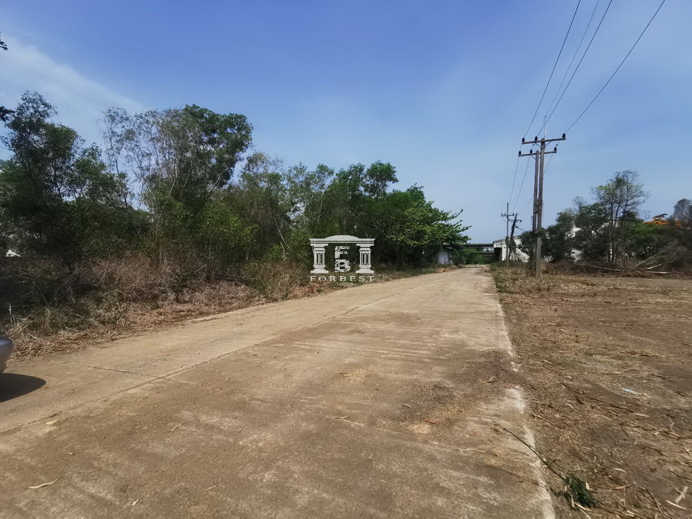 For SaleLandAyutthaya : Land for sale in Bang Pa-in, Phra Nakhon Si Ayutthaya.