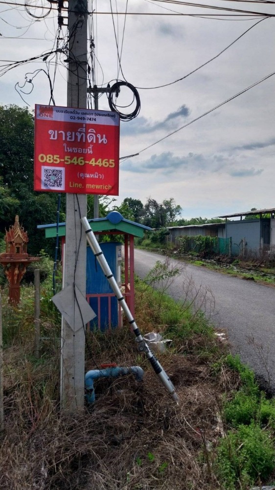 ขายที่ดินปทุมธานี รังสิต ธรรมศาสตร์ : ขายที่ดินผังเมืองสีชมพู หนองเสือ ปทุมธานี 1 งาน มี 2 แปลง ใกล้ถนนเลียบคลอง 11