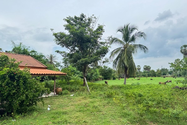 For SaleLandCha-am Phetchaburi : Land for sale, plot size 5 rai 1 ngan 40 sq m., beautiful location, asphalt road, only 5 kilometers from Phetkasem main road, Phetchaburi Province, at a very special price.