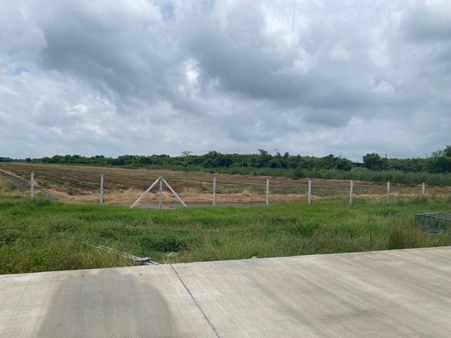 For SaleLandChachoengsao : NT344 Land for sale, rectangular plot, purple plan, EEC area, area 50 - 100 sq w, rai, next to concrete road, Mueang District, Chachoengsao, commercial location, suitable for business, warehouse, factory, near Pongpol Market, Suwinthawong Road