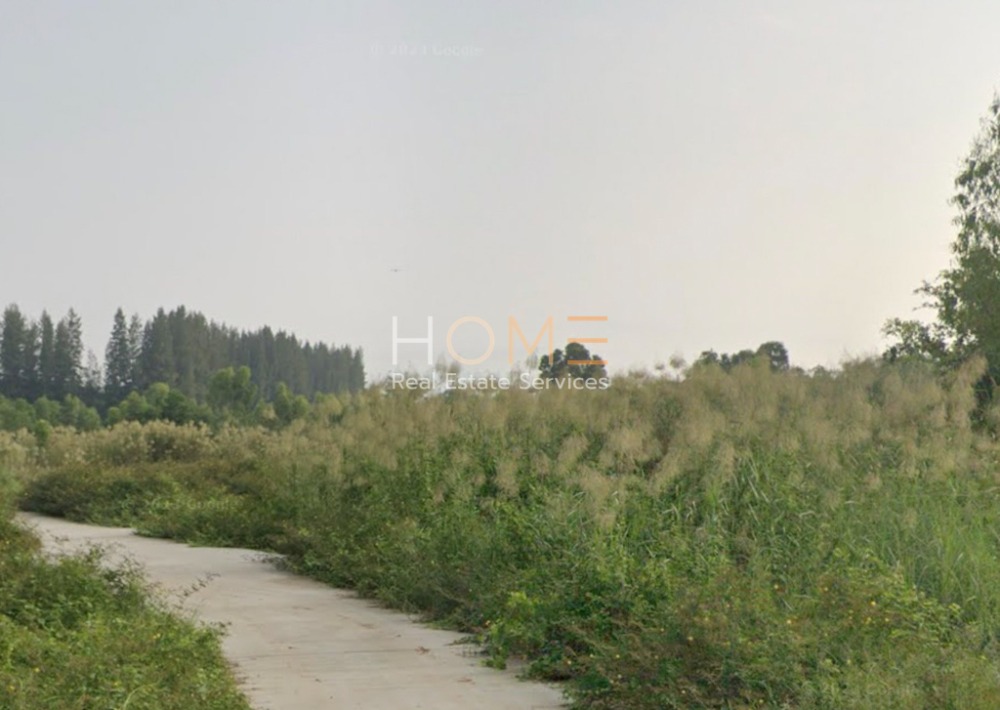 For SaleLandRayong : Land Behind PTT Taphong / (SALE) NEWC302