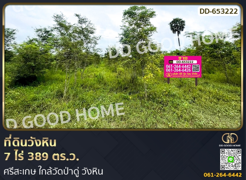 For SaleLandSi Sa Ket : Wang Hin land 7 rai 389 sq w. Sisaket, near Wat Pa Du, Wang Hin