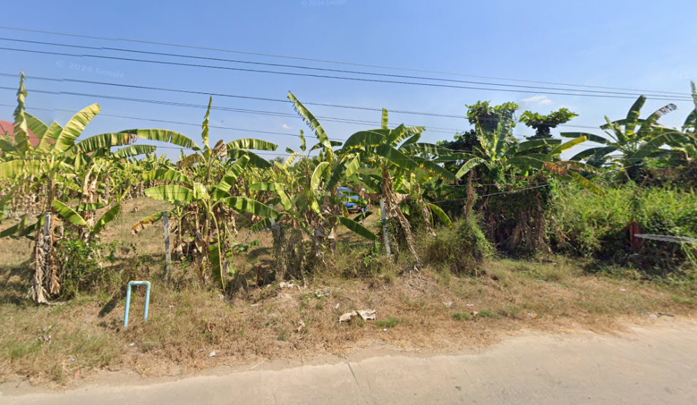 For SaleLandPattaya, Bangsaen, Chonburi : Land Tha Bun Mi Ko Chan / (SALE) AA070