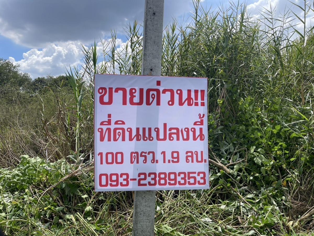 ขายที่ดินวิภาวดี ดอนเมือง หลักสี่ : 🚩#ขายที่ดิน 100 ตรว.ซ.ร่วมสุข 5/4 ต.บ้านใหม่ อ.เมือง ปทุมธานี