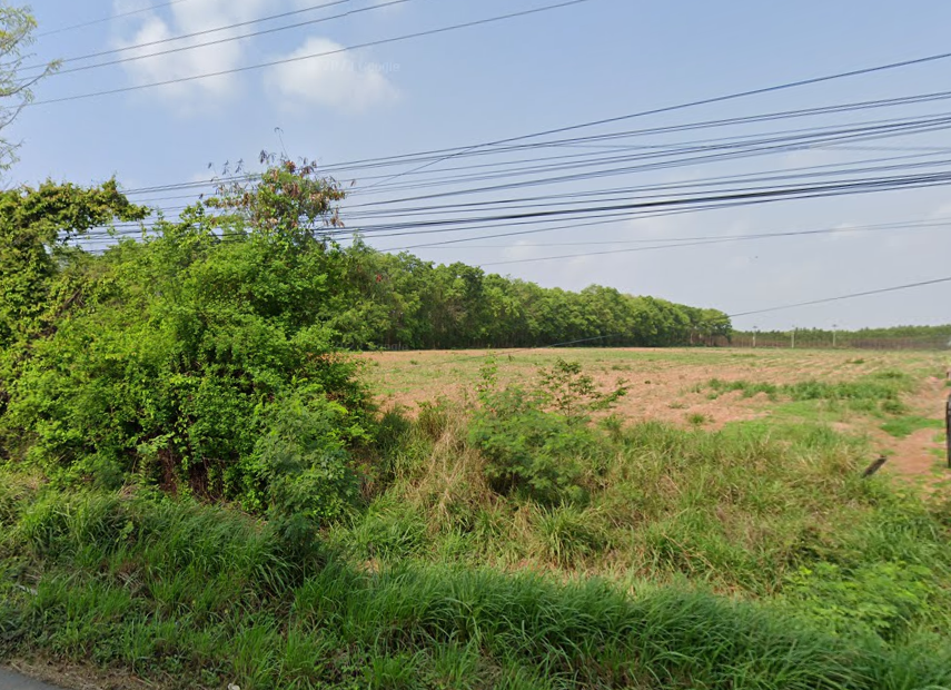 For SaleLandPattaya, Bangsaen, Chonburi : Land Nong Prue Phanat Nikhom / (SALE) AA071