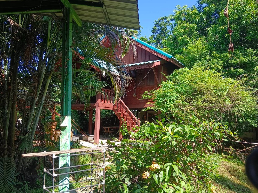 For SaleLandChaiyaphum : House for sale with land 1-2-27 sq.wa., Mueang Chaiyaphum District