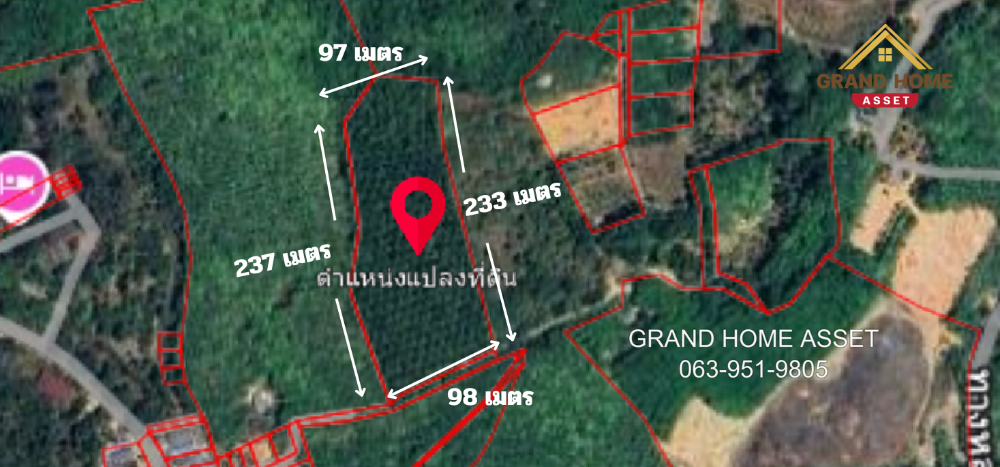 For SaleLandPhuket : Land with palm plantation, Thepkasattri Road, Thepkasat Subdistrict, Thalang District, Phuket Province