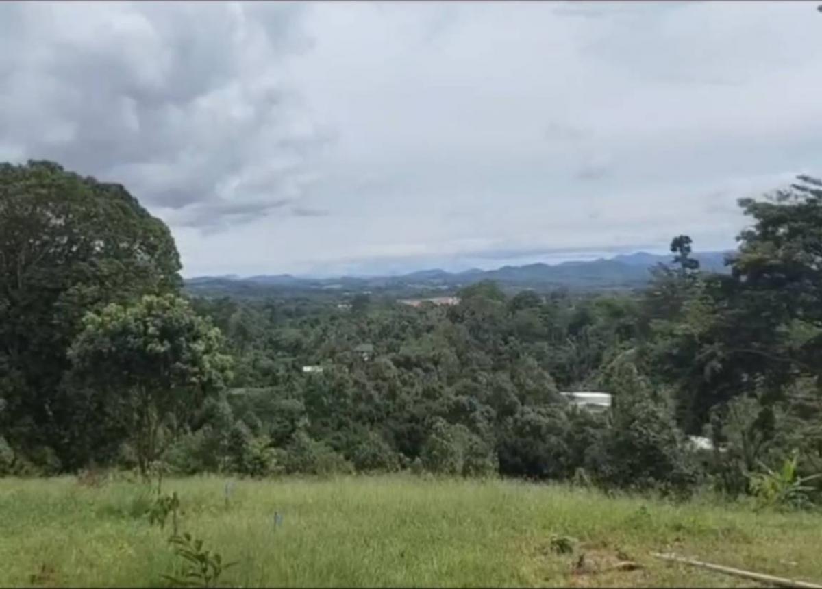 For SaleLandChanthaburi : Beautiful mountain view land, Pong Nam Ron, Chanthaburi, planted with durian and fruits.