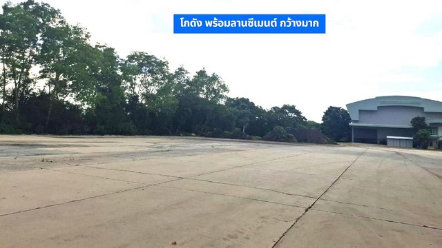 For SaleLandSuphan Buri : Large warehouse for sale on main road 13-3-18 rai with 2-storey office, 6-room workers house and 2-storey detached house, Ban Chung, Nakhon Luang Luang, Ayutthaya