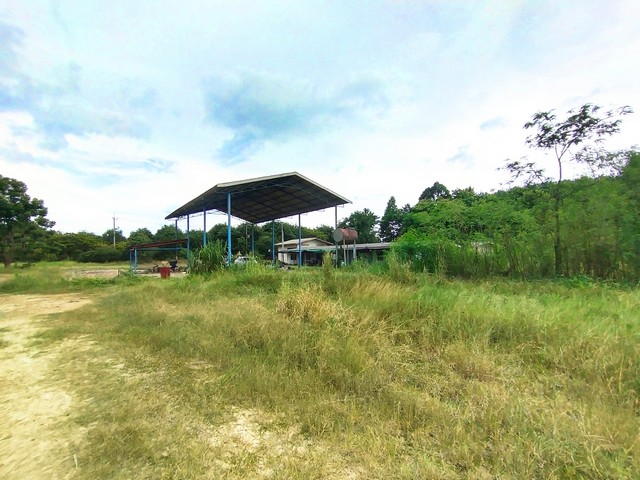 For SaleLandChachoengsao : Land for sale, filled in, 27-3-14 rai, next to road 3017, has 10 rooms, 3-phase water and electricity, Lat Krathing, Chachoengsao Province