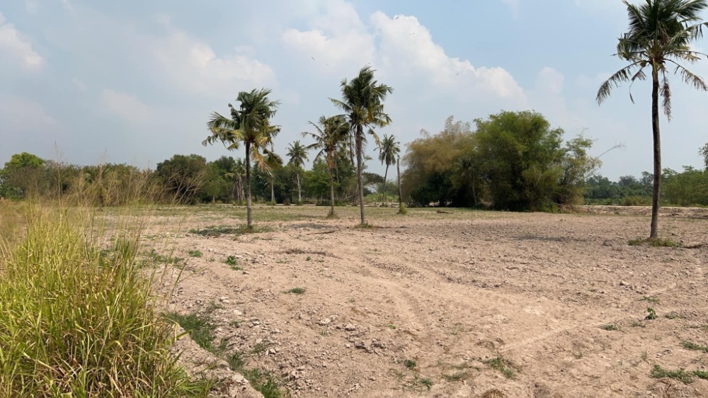 For SaleLandSriracha Laem Chabang Ban Bueng : Land Nong Bon Daeng Subdistrict, Ban Bung District / (SALE) AA079