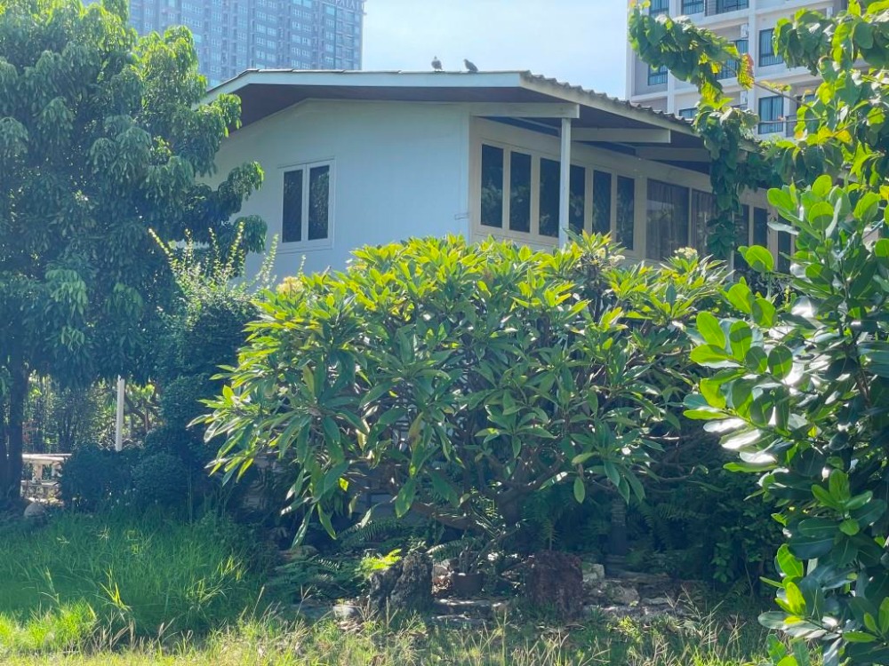 For RentHouseSamut Prakan,Samrong : 1 rai house for living or running a spa or restaurant business, located on Soi Sukhumvit 115, approximately 200 meters from BTS Pu Chao. It is a 2-storey single house, approximately 300-400 square meters, 5 bedrooms.