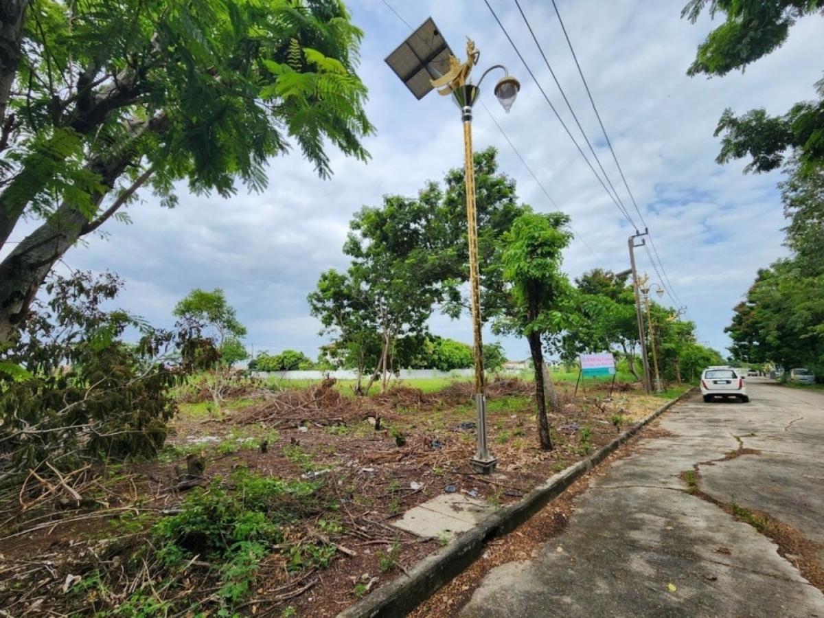 For SaleLandSamut Prakan,Samrong : Land for sale, Green Lake Village, Bangna-Trad, Bang Phli, 623 sq m (2 plots), Samut Prakan