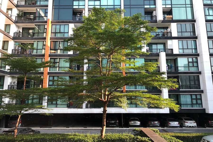 ขายคอนโดอ่อนนุช อุดมสุข : Condo For Sales!!! D 65 Condominium 2 Beds 1 Bath