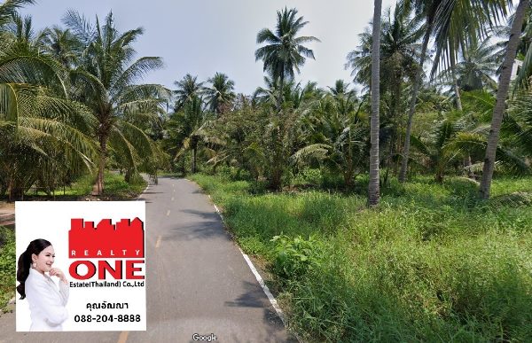 For SaleLandMahachai Samut Sakhon : Coconut plantation for sale, Amphawa District, Samut Songkhram, area 15-0-66 rai