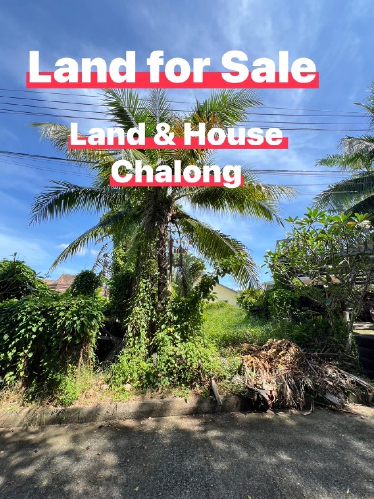 For SaleLandPhuket : 💥Land for sale