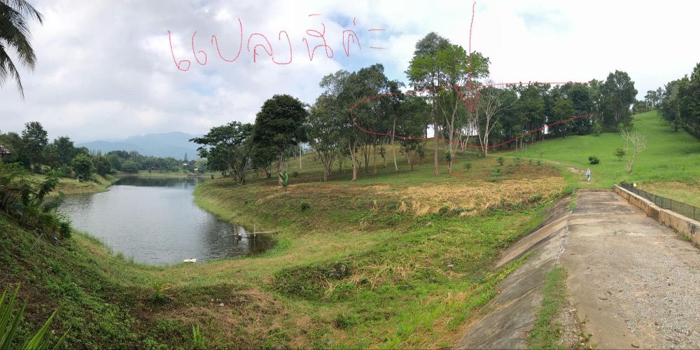 For SaleLandPak Chong KhaoYai : Beautiful land plot, Song Su Si project, located on a hill, not flooded, with a view of the big mountain and lake. The neighbors are in a very good environment.