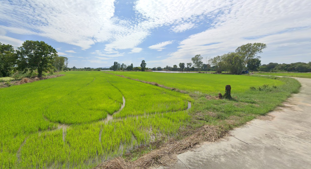 ขายที่ดินพัทยา บางแสน ชลบุรี สัตหีบ : ที่ดิน บ้านเซิด พนัสนิคม / (ขาย), Land Ban Soet Phanat Nikhom / (SALE) AA076