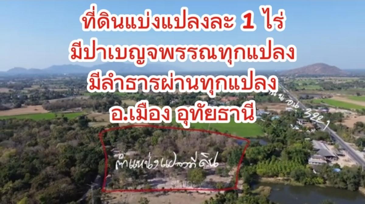 For SaleLandUthai Thani : Land with a natural mixed deciduous forest garden near Uthai Thani city, mountain view with mountain view, divided into only 5 plots, 1 rai per plot, only 400,000 baht per plot.