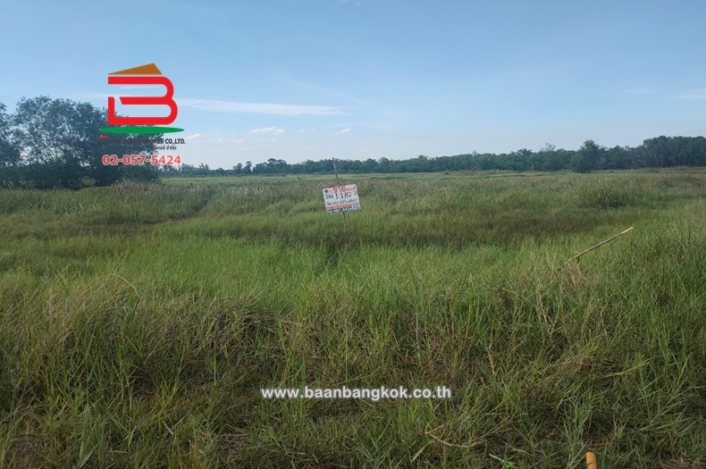 For SaleLandNakhon Nayok : Vacant land, Wat Pho Than, area 1-1-87 rai, Pathum Thani-Nakhon Nayok Road, Ongkharak District, Nakhon Nayok Province