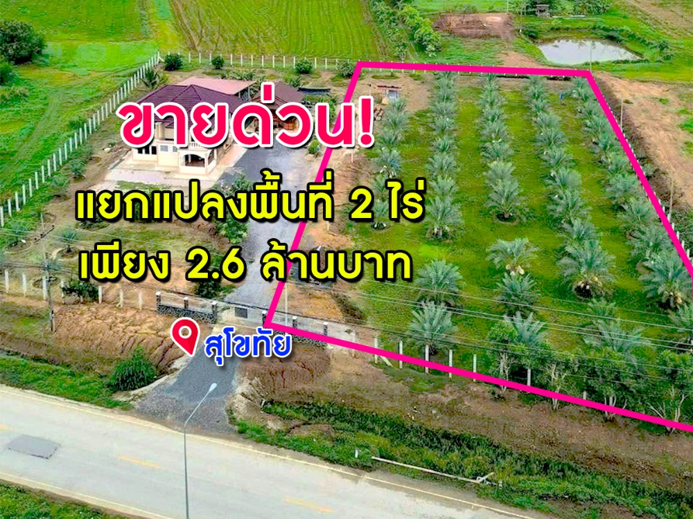 ขายที่ดินสุโขทัย : ขายด่วน! ที่ดินพื้นที่ 2 ไร่ พร้อมผลผลิตอินทผาลัมพร้อมขาย พื้นที่น้ำไม่ทวม