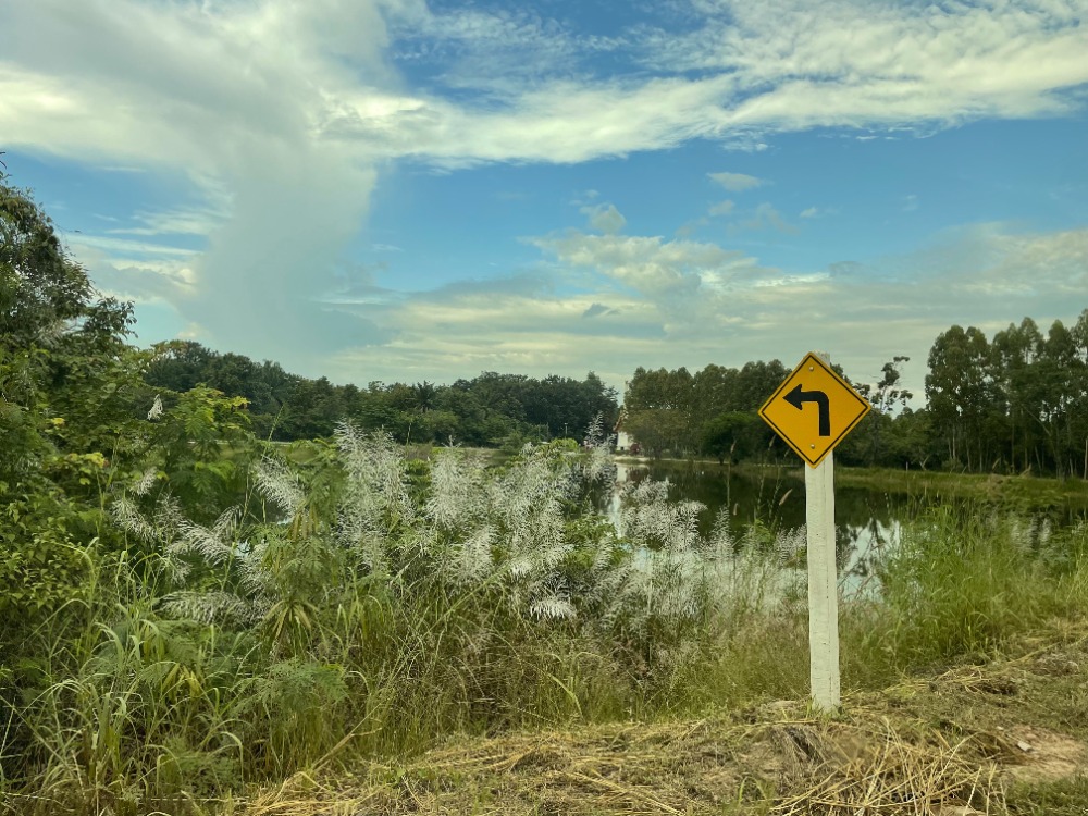 For SaleLandKorat Nakhon Ratchasima : Land for sale, Nong Ya Khao Subdistrict, Sikhio District, Korat Province (Public reservoir is located directly opposite the land)