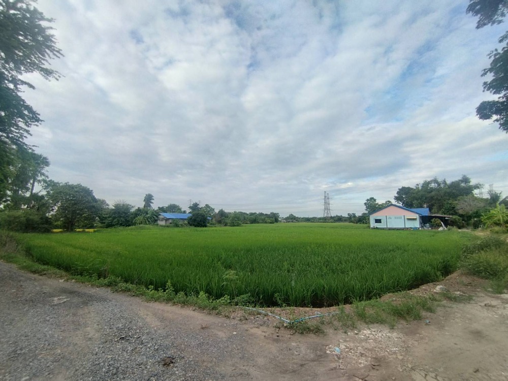 For SaleLandMin Buri, Romklao : Land for sale, rice fields, green areas, many plots, Sukjai Temple, Nimitmai, Khlong Sam Wa, Benchado, Bueng Taengmo, Pracha Ruamjai, Mitmaitri, Khu Sai, Khu Khwa, Nong Chok, Suwinthawong, Min Buri, Hathai Rat, Phraya Suren, ready to transfer