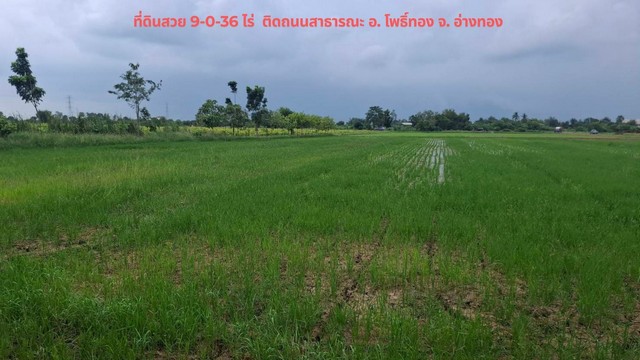 For SaleLandAng Thong : Cheap land for sale, 9-0-36 rai, suitable for self-sufficient farming, very natural atmosphere, Pho Thong District, Ang Thong Province