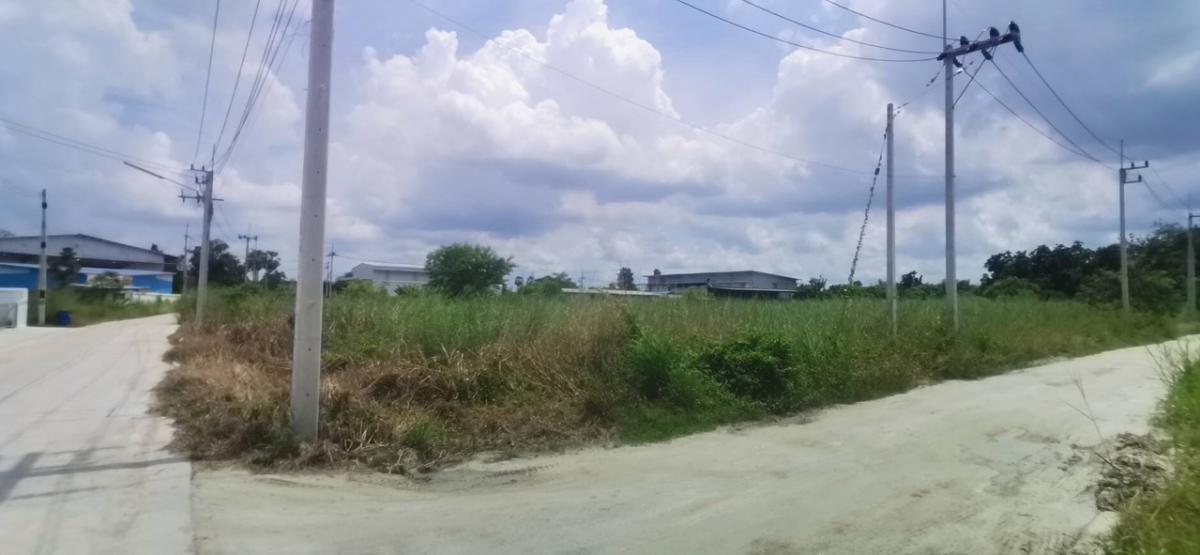 For SaleLandPattaya, Bangsaen, Chonburi : Land in Chonburi, size 4 rai, location Maphai