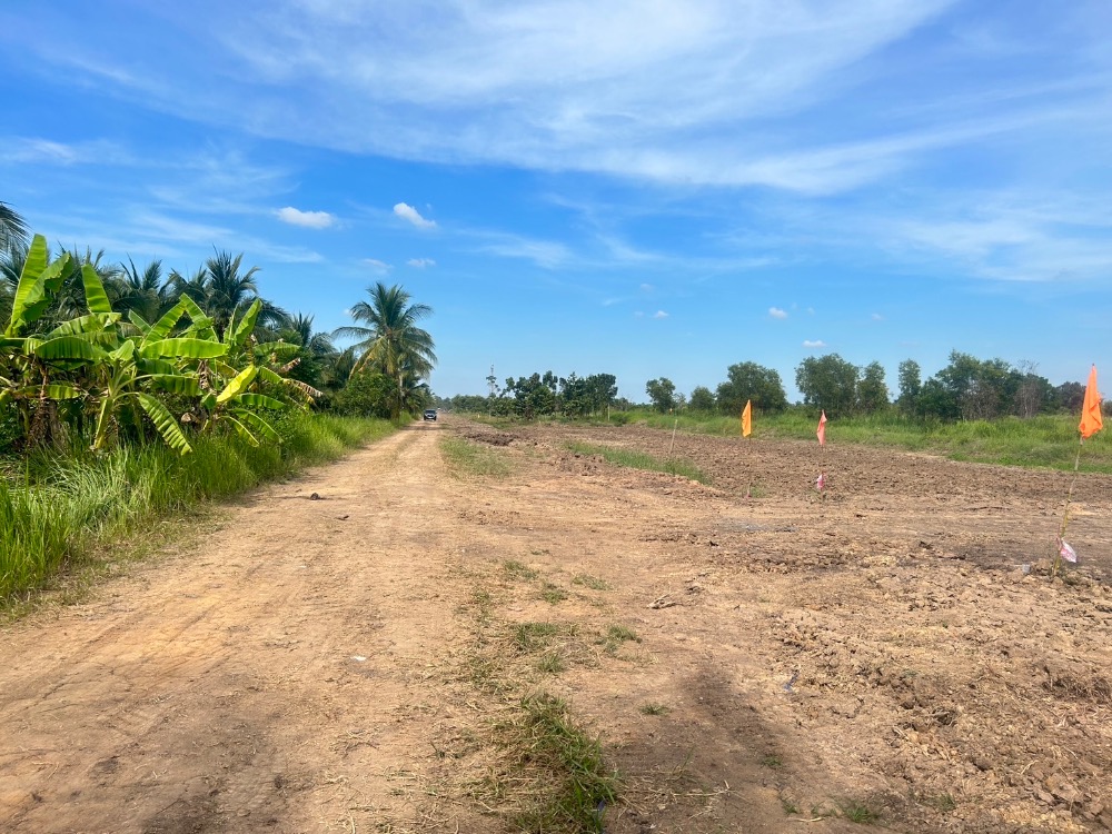 ขายที่ดินปทุมธานี รังสิต ธรรมศาสตร์ : เป็นเจ้าของก่อนใครที่ดินฟรีดาวน์ ทำเลดี ผ่อนนาน