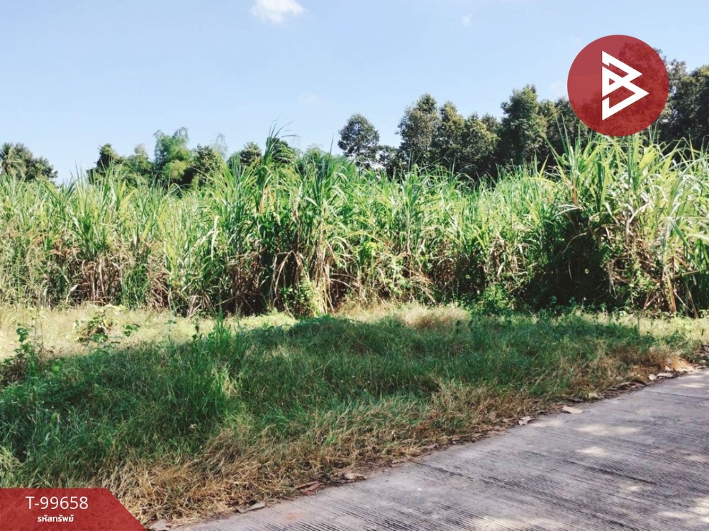 For SaleLandPhitsanulok : Land for sale, area 11 rai 1 ngan 36 square wa, Bang Rakam, Phitsanulok