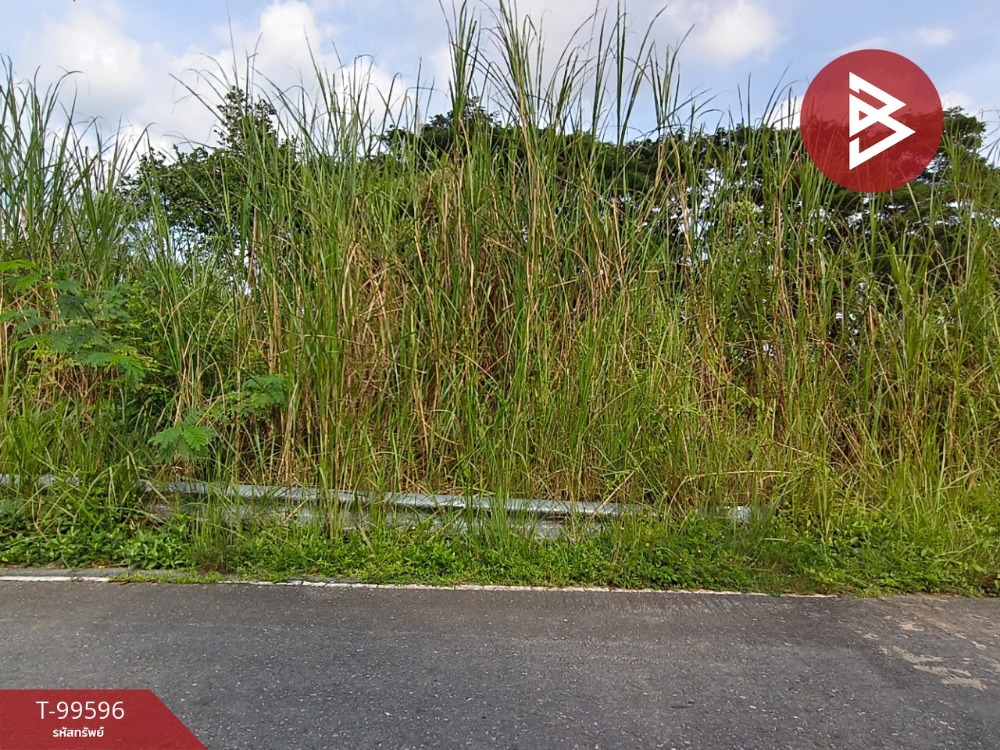 For SaleLandNakhon Si Thammarat : Land for sale, area 98 sq.wa, Tha Sak, Nakhon Si Thammarat