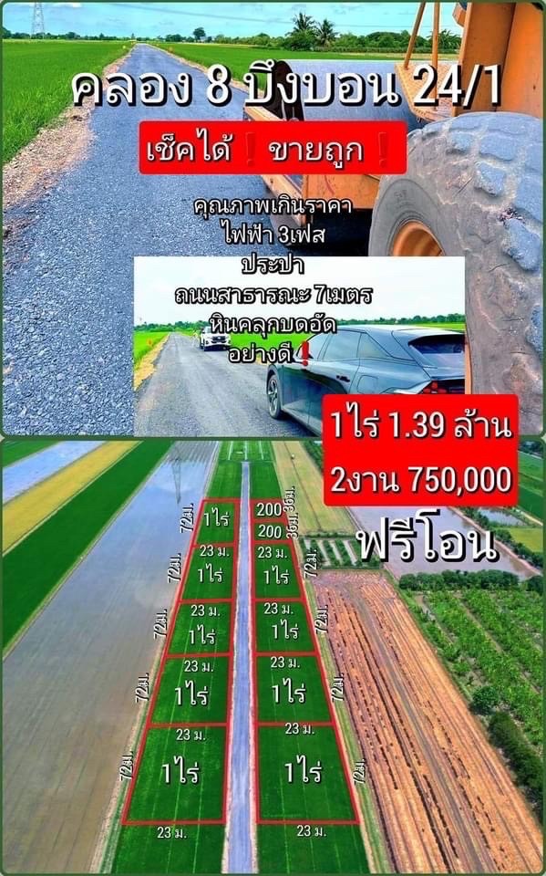 ขายที่ดินปทุมธานี รังสิต ธรรมศาสตร์ : ที่ดินราคาถูก คลอง8 ปทุมธานี นำ้ไฟฟ้าพร้อม