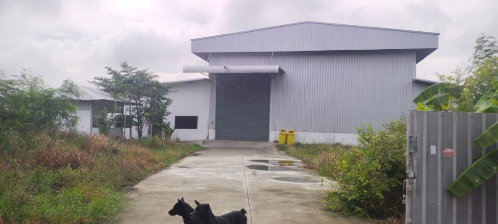 For SaleFactoryBangna, Bearing, Lasalle : Factory building for sale, Bang Bo, Bang Na, Km. 31, Samut Prakan