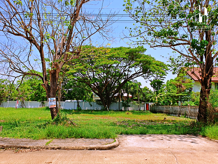 ขายที่ดินปทุมธานี รังสิต ธรรมศาสตร์ : ขายที่ดิน 122 ตร.ว. ม.สารินปาร์ค รังสิต-ธัญบุรี คลอง 5 แปลงสวย