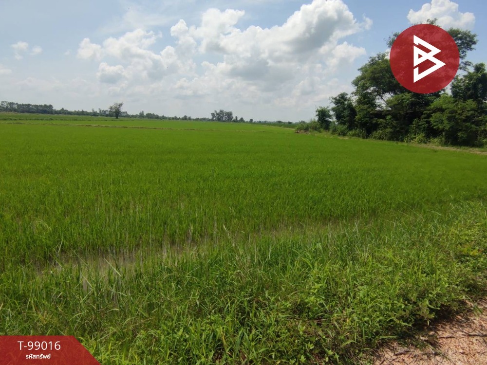 For SaleLandKamphaeng Phet : Land for sale, area 207 rai 3 ngan 89 square wa, Phran Kratai, Kamphaeng Phet