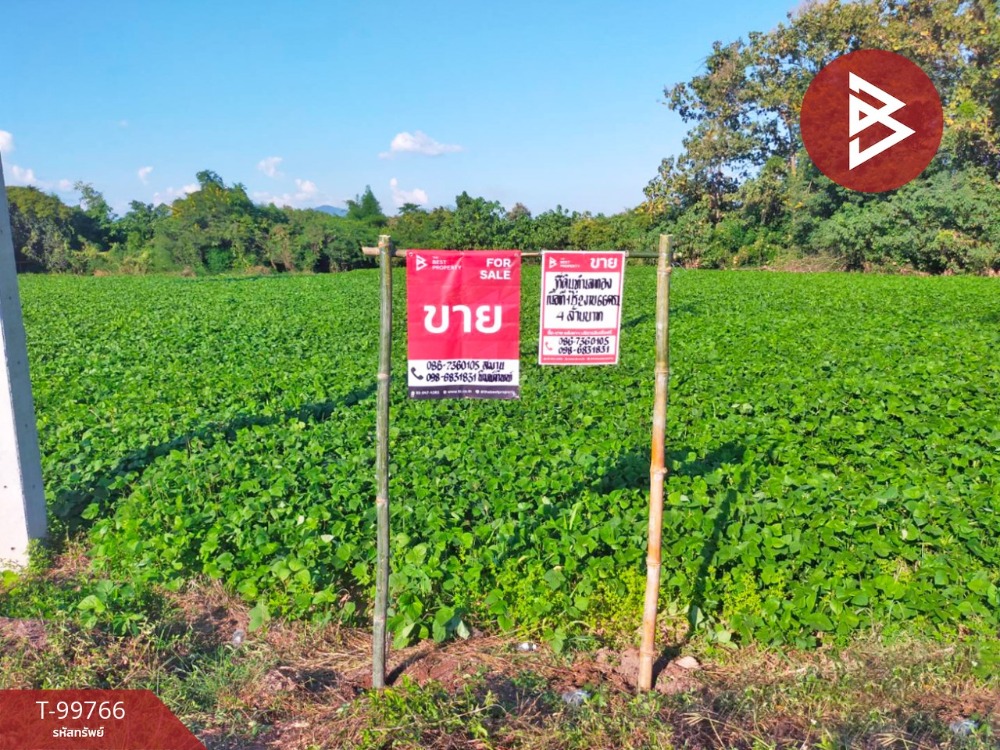 For SaleLandUttaradit : Urgent sale of land, area 1 rai 2 ngan 66 sq.wa, Khung Tapao, Uttaradit