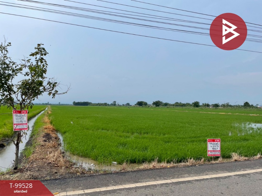 For SaleLandChachoengsao : Land for sale, area 16 rai 3 ngan 79 sq m, Bang Toei, Chachoengsao