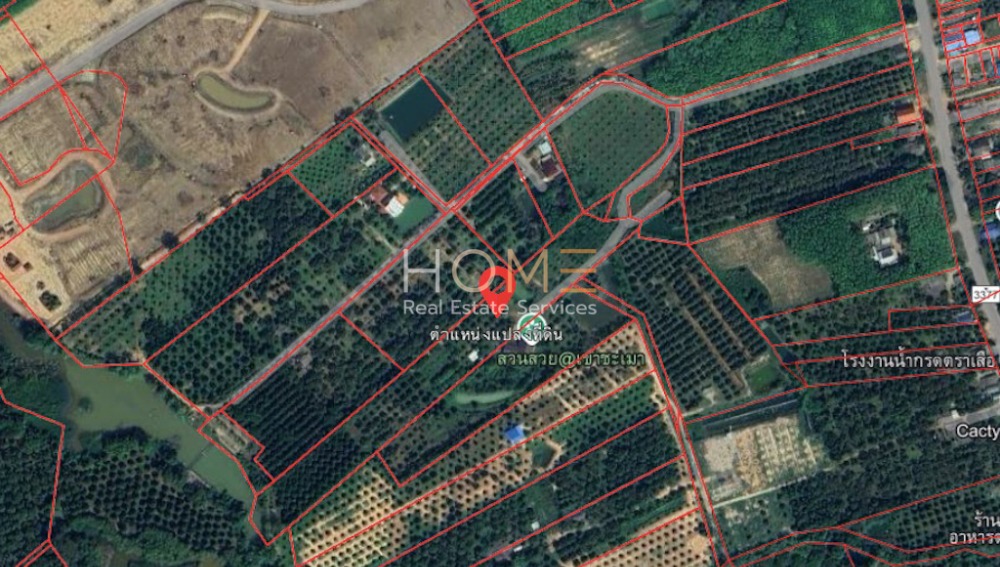 For SaleLandRayong : Land with Orchard Khao Chamao / (SALE) NEWC313