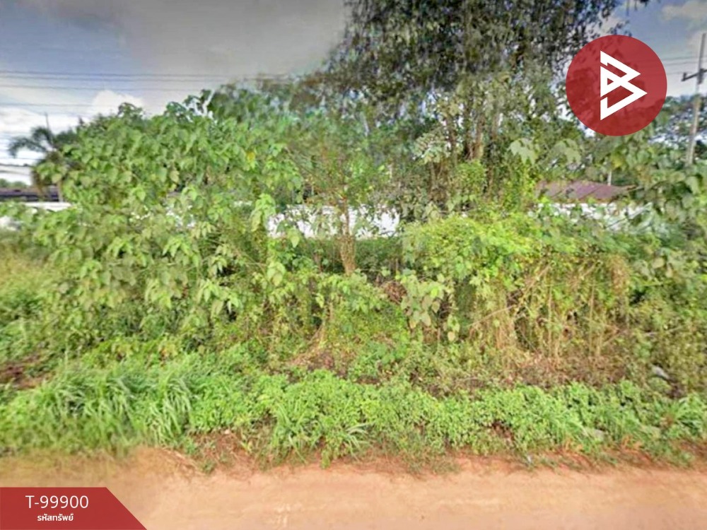 For SaleLandLoei : Urgent sale of land with large teak trees, area 32 rai 44.2 square wa, on the Loei-Na Duang road, Loei Province.