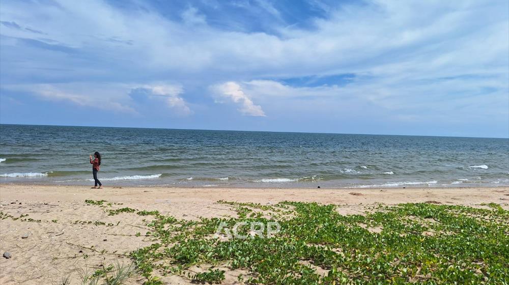 For SaleLandHuahin, Prachuap Khiri Khan, Pran Buri : Seaside Land for Sale in Bo Nok Subdistrict, Prachuap Khiri Khan Province