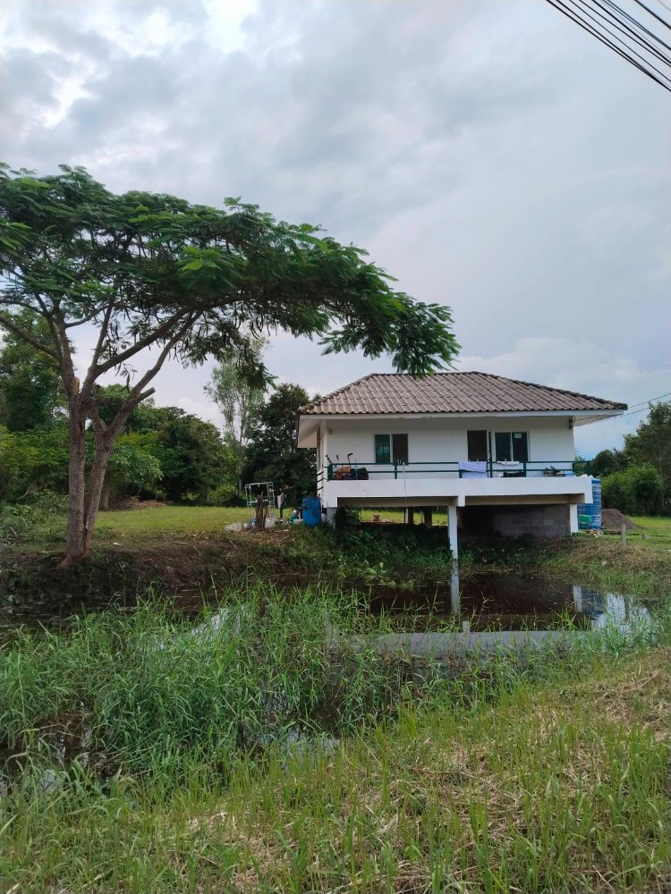 For SaleLandKorat Nakhon Ratchasima : House for sale, Wang Nam Khiao, with land, Nakhon Ratchasima