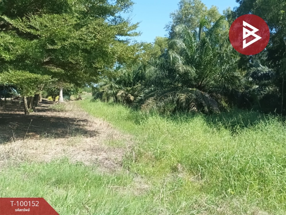 For SaleLandChachoengsao : Land for sale, area 37 rai 3 ngan 15 sq m, Bang Khwan, Chachoengsao