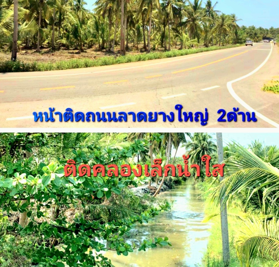 For SaleLandSamut Songkhram : 🏝️Land for sale in Samut Songkhram🔸Corner plot with road access on 2 sides🔸Side plot with Lam Padong🔸Wide frontage, beautiful, on the road🔸Cheaper than the market🔸Beautiful land on the road