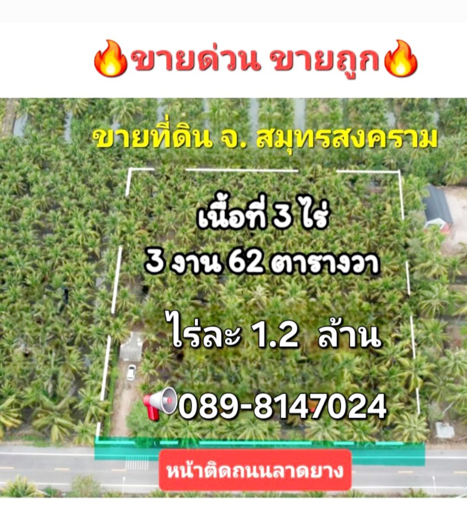 For SaleLandSamut Songkhram : ⭐Land in Samut Songkhram⭐1.2 million per rai⭐Front facing the road⭐Back facing Lam Padong Nam⭐Owner selling⭐