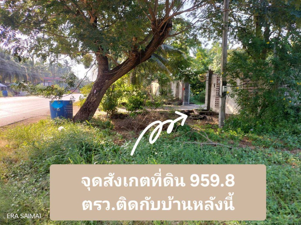 For SaleLandSamut Songkhram : Land for sale, filled in, 959.8 square wah, along Samut Songkhram-Pak