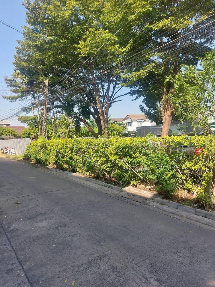 For SaleLandChokchai 4, Ladprao 71, Ladprao 48, : Cheapest in this area, very good location, land for sale, filled in, 206 sq m, Nakniwat 43, Lat Phrao 71, from the alley to the land 180 meters.